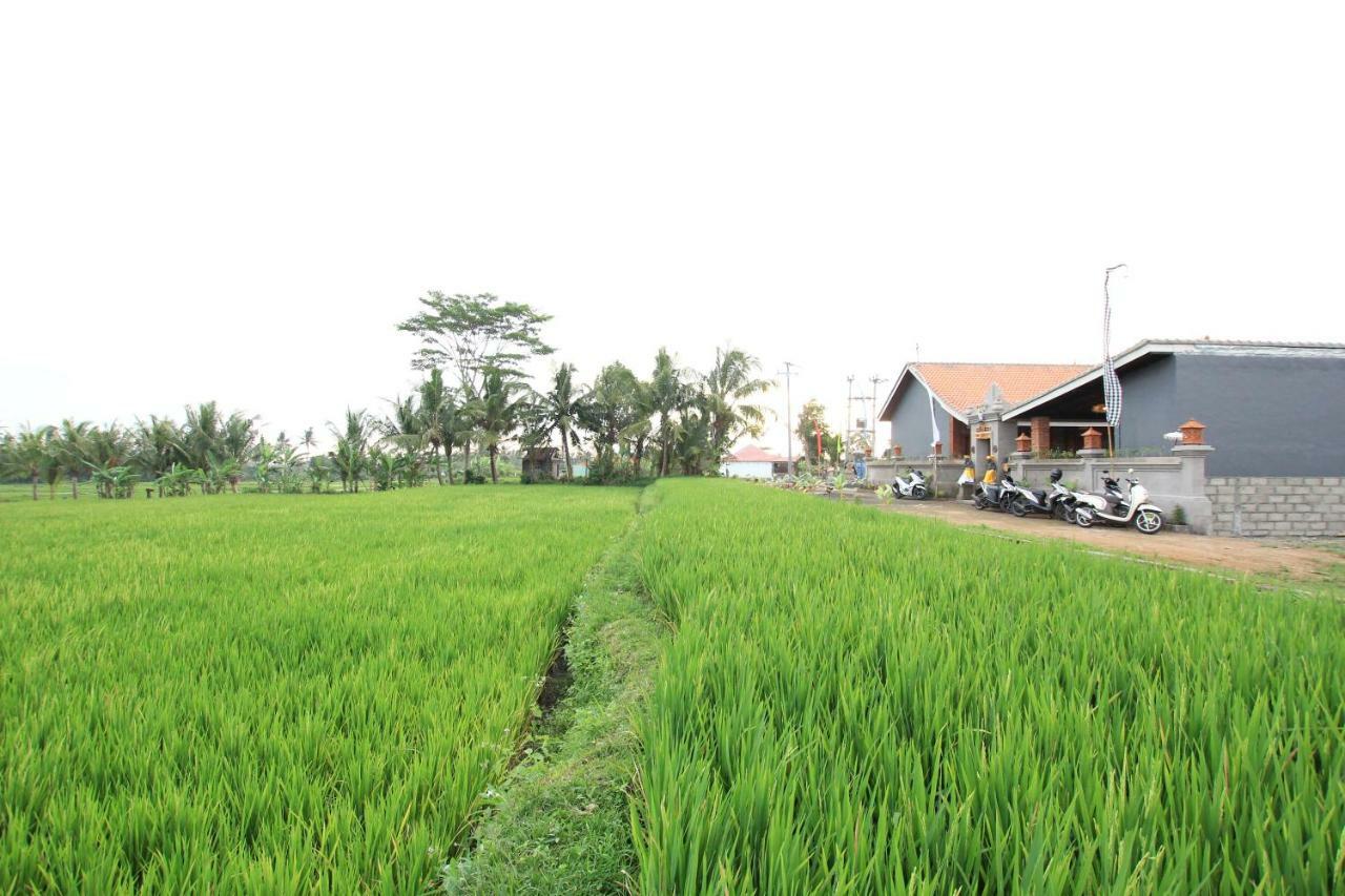 Ayuna Family Ubud Exteriér fotografie