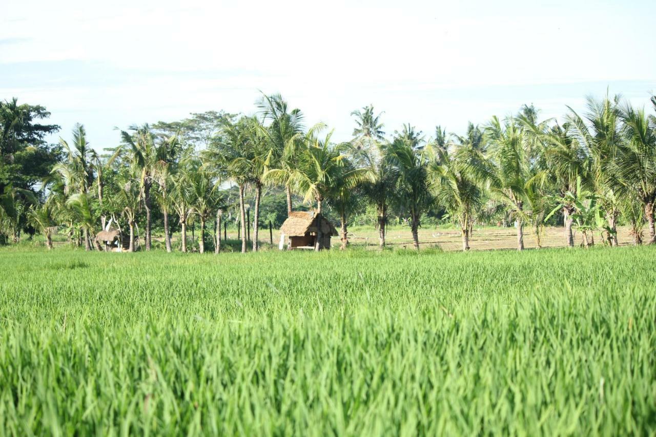 Ayuna Family Ubud Exteriér fotografie