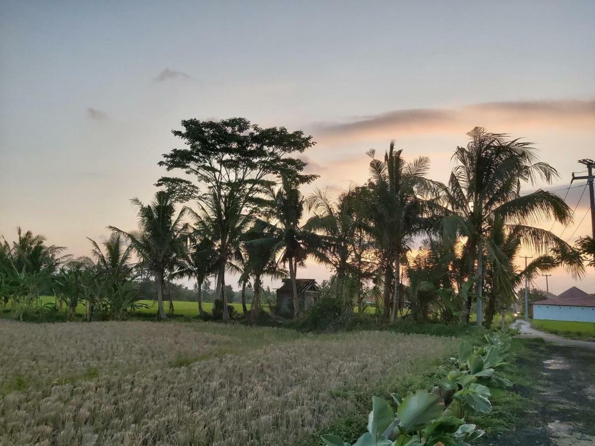 Ayuna Family Ubud Exteriér fotografie