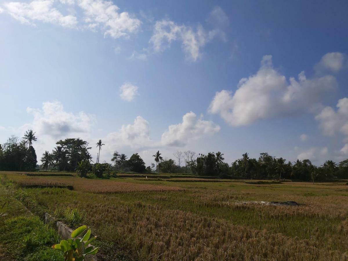 Ayuna Family Ubud Exteriér fotografie