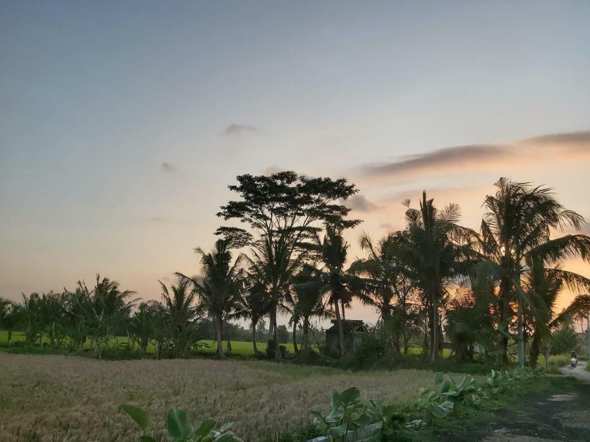 Ayuna Family Ubud Exteriér fotografie